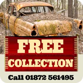 Free Collection